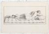 GIOVANNI DOMENICO CAMPIGLIA AND OTHERS (Florence 1692-1768 Florence) Collection of approximately 60 chalk and pencil drawings after ant